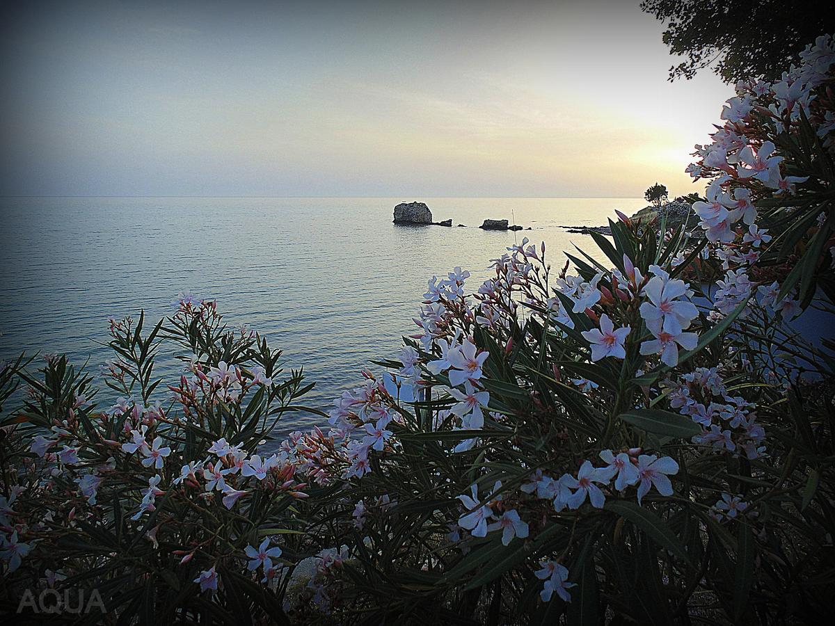 Aqua Luxury Villas Nea Poteidaia Esterno foto